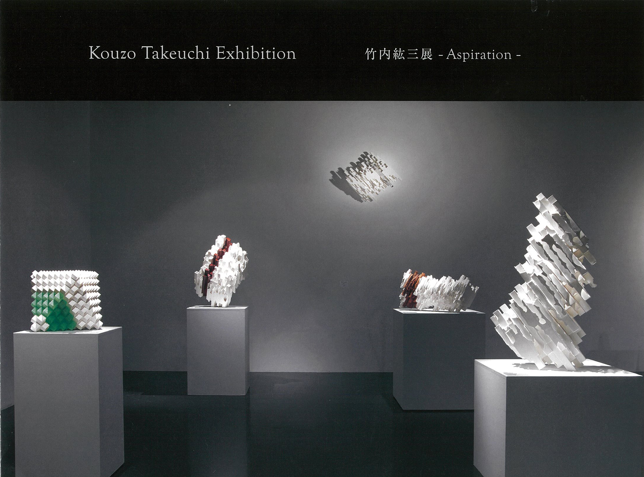 竹内 紘三展　- Aspiration -