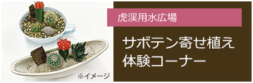 虎渓用水広場 サボテン寄せ植え体験コーナー