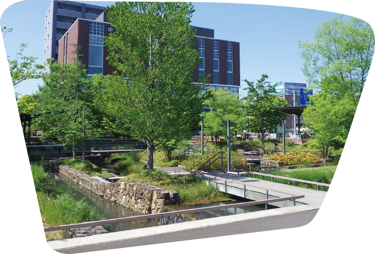 木々と水路の写真